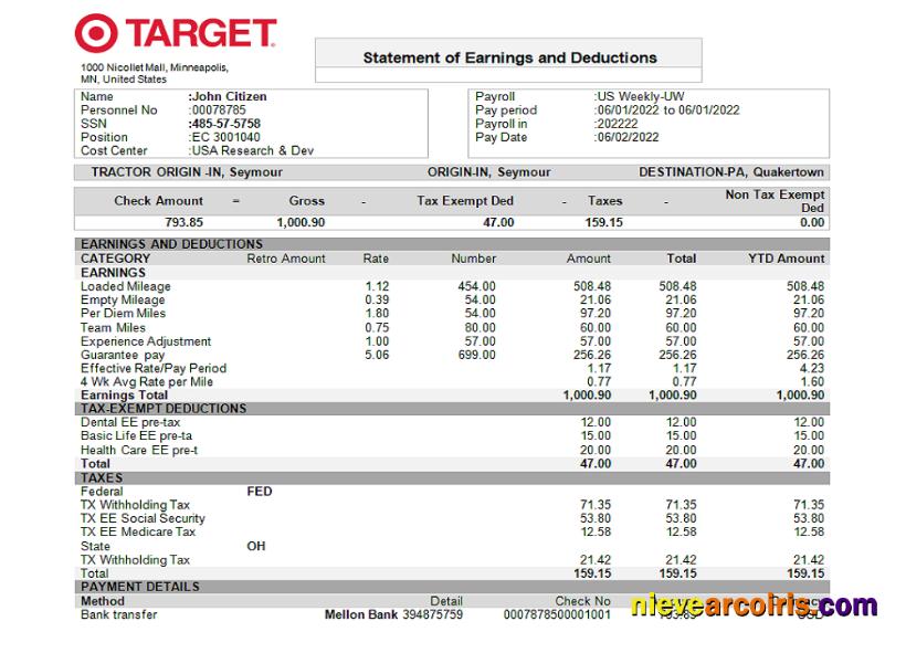 USA Target retail company pay stub